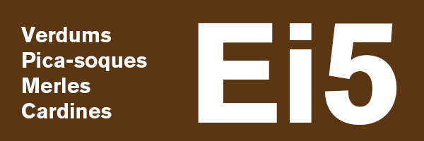 Ei5