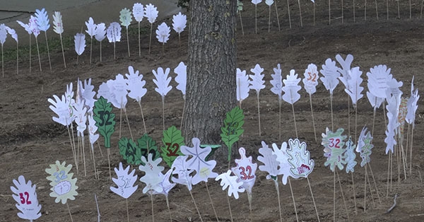 Hem celebrat el DENIP amb la plantada d&rsquo;un roure i activitats relacionades amb la pau i el 75&egrave; aniversari