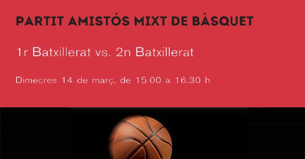 Partit amist&oacute;s mixt de b&agrave;squet