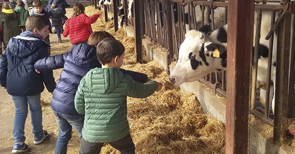 La setmana passada vam anar a Can Turr&oacute; a fer mat&oacute;