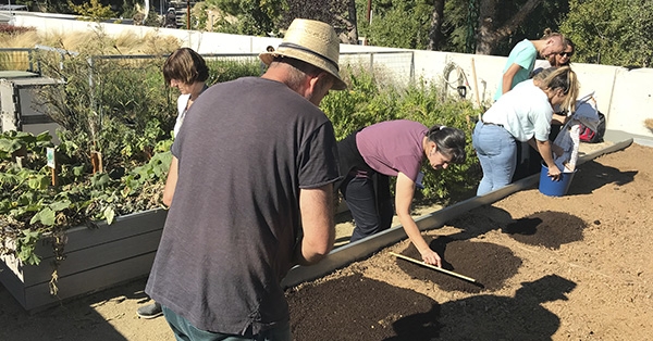 L&rsquo;Escola participa en la formaci&oacute; per al professorat de Naturalitzaci&oacute; d&rsquo;horts i jardins escolars d&rsquo;Escoles + Sostenibles