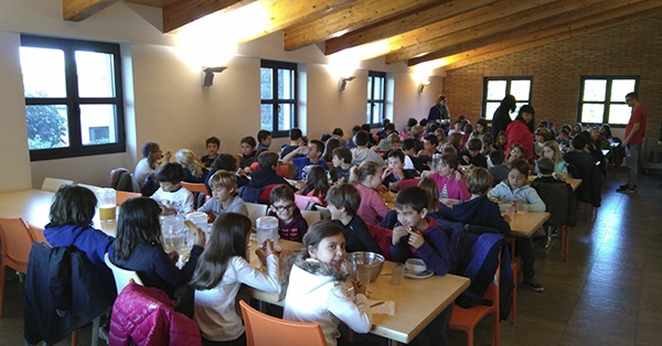 Els nens i nenes de 3r de Prim&agrave;ria anem de conviv&egrave;ncies!