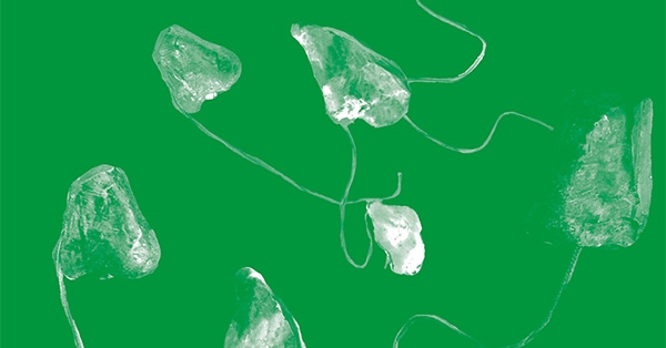 Parlem-ne n&ordm; 84 (primavera 2015)