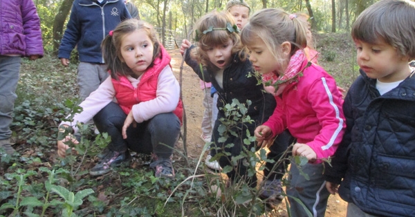 Ei3 Anem d'excursi&oacute; al bosc