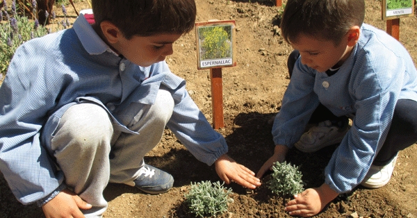 Celebrem la primavera a Educaci&oacute; Infantil