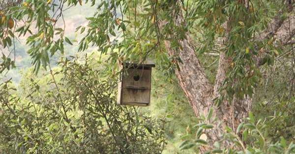 El projecte Enregistrant la natura comptar&agrave; amb la col&middot;laboraci&oacute; econ&ograve;mica de l&rsquo;empresa ARCBCN
