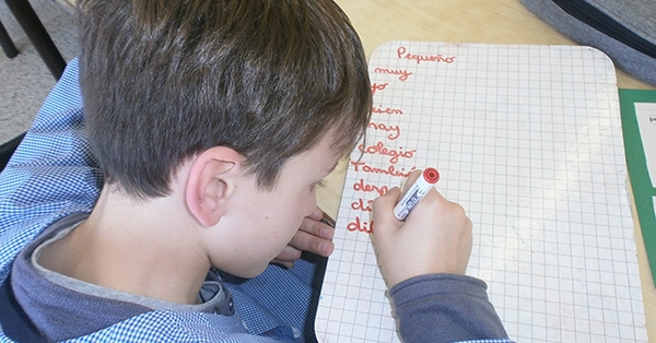 Treballem l'ortografia