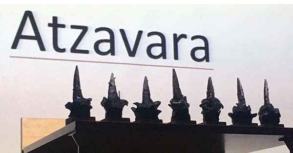 Celebrem la 1a Mostra de Curtmetratges i documentals &laquo;Llum de l&rsquo;atzavara&raquo;