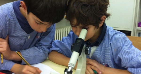 Observant c&egrave;l&middot;lules al laboratori
